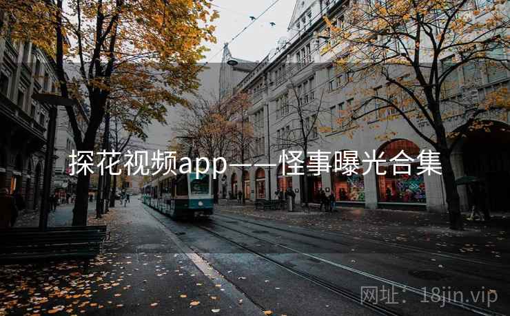 探花视频app——怪事曝光合集