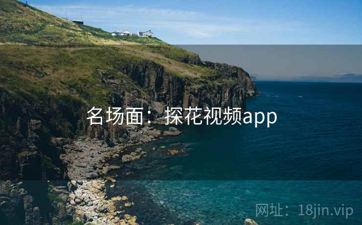名场面：探花视频app